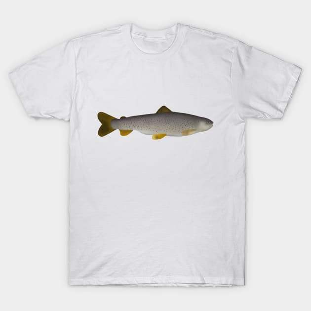 Tigris Trout T-Shirt by FishFolkArt